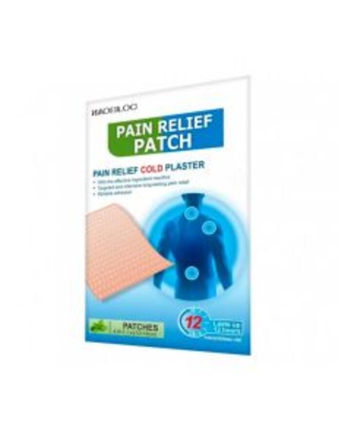 Haobloc Pain Relief Cold Plaster 1 Patch